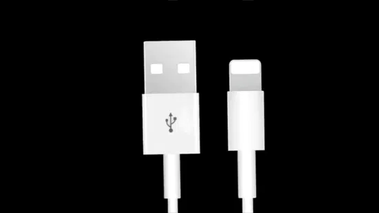 Gesamtverkaufs-Fabrikpreis 1m 2m 3m Mfi-Zertifizierung Schnelles Aufladen von Mobiltelefon-Datenkabel USB-Blitzkabel Apple iPhone-Ladekabel